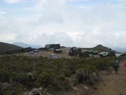 IMG_3254.jpg