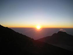 IMG_3325.jpg