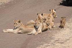 IMG_2563.JPG