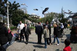 There were lots of pigeons !!!