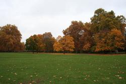 IMG_2804.jpg