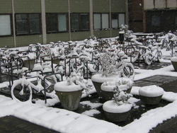Imperial bicycle parking !!!