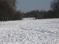 Bright and sunny morning