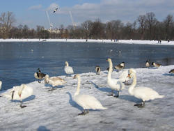 Enjoying the sun and the snow
