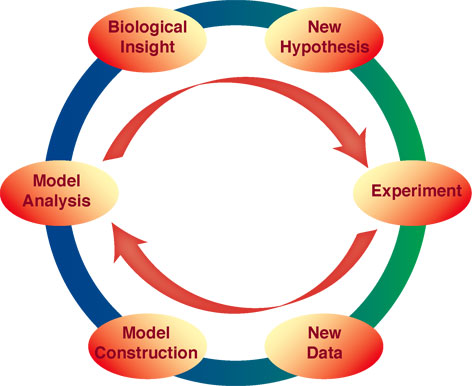 Systems Biology Loop