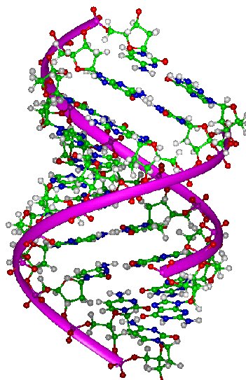 Parameter Estimation In Stochastic Logic Programs