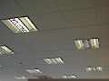 lights.jpg (2629 bytes)