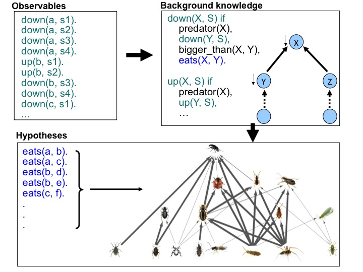 Food_Webs_Learning