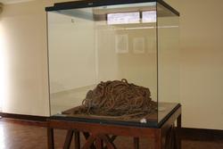 Really old rope (around 4000 yrs old)