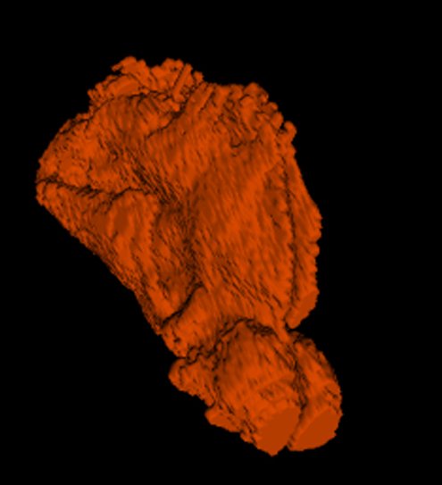 Rendering of the nasal sinus