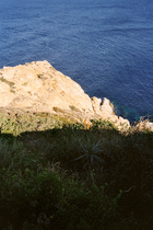 Looking down the cliff into the sea on La Revellata