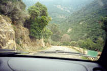 Goats on the road to Portu (1)
