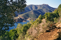 As we round the headland from the beach we catch sight of Girolata again through a gap in the maquis canopy