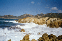 Waves at Galeria (4)