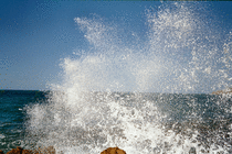 Waves at Galeria (5)