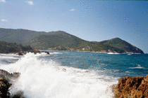 Waves at Galeria (9)