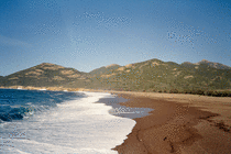 Beach at Galeria