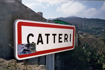 Catteri - complete with cat!