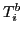 $T^{b}_{i}$