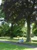 img030.jpeg.small.jpeg