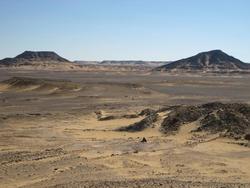 Back to the black desert