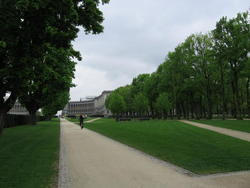 IMG_3391.JPG