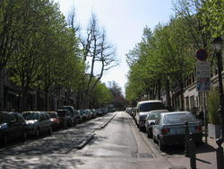 IMG_1996.JPG