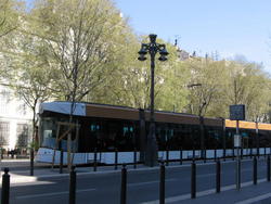 IMG_1999.JPG