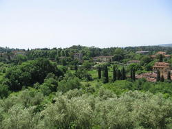 IMG_5651.JPG
