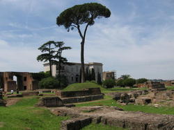 IMG_4910.JPG