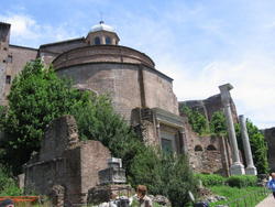 IMG_4950.JPG