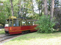 IMG_8761.JPG