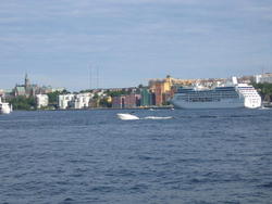 IMG_7922.JPG