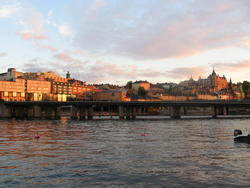 IMG_7974.JPG