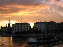 IMG_7981.JPG