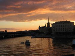 IMG_7986.JPG
