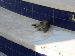 A nice place to rest