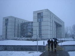 IMG_2599.JPG