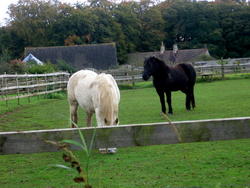 cotswolds_03.JPG