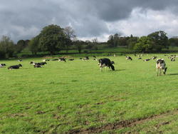 cotswolds_10.JPG