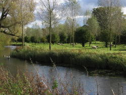 cotswolds_19.JPG