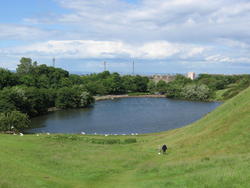 IMG_7557.jpg
