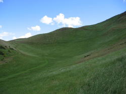 IMG_7569.jpg