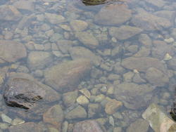 IMG_6959.JPG