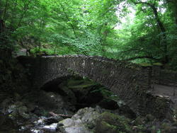 IMG_6986.JPG
