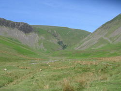 IMG_7046.JPG