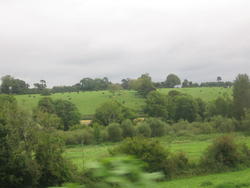 IMG_9505.JPG