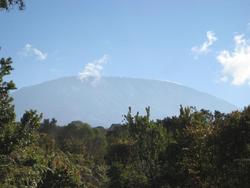 IMG_2892.jpg