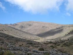 IMG_3088.jpg