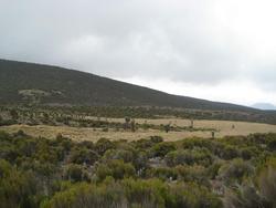 IMG_3250.jpg